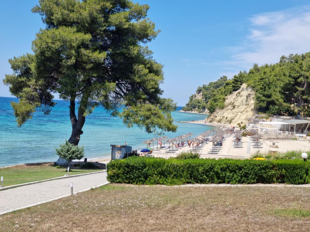 Beachfront Villa 100M From Sea For Up To 10 Guests Siviri Extérieur photo